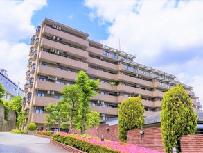 cover-photo