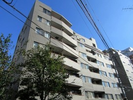 Minami-Azabu Park Homes