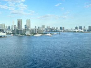 view